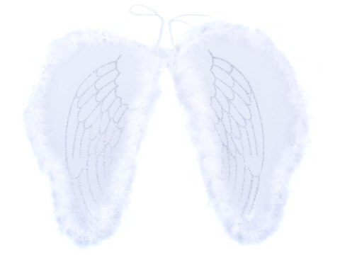 Najpiękniejsze białe Skrzydła ANIOŁA ZA0571