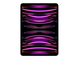 IPad Pro 11