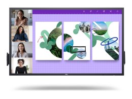 Dell | P5524QT | 55 