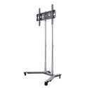 EDBAK | TR1c-B | Wózki i stojaki | 40-75 " | Maksymalna waga (udźwig) 80 kg | Czarny