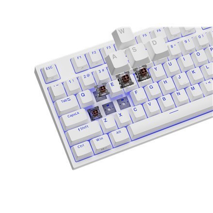 Genesis | White | Mechanical Gaming Keyboard | THOR 404 TKL RGB | Mechanical Gaming Keyboard | Wired | US | USB Type-A | 1005 g
