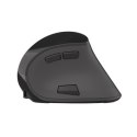 Natec | Mysz pionowa | Euphonie | Bezprzewodowa | Odbiornik Bluetooth/USB Nano | Czarny