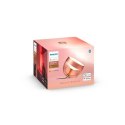 Przenośna lampa Philips Hue Iris, miedziana edycja specjalna Philips Hue | Przenośna lampa Hue Iris, miedziana edycja specjalna