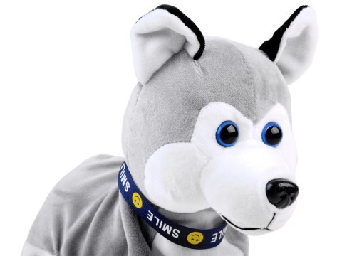 Interaktywny piesek Husky reaguje na dotyk Szczeka + różne sztuczki ZA1333 Interaktywny piesek Husky reaguje na dotyk Szczeka + różne sztuczki ZA1333