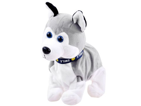 Interaktywny piesek Husky reaguje na dotyk Szczeka + różne sztuczki ZA1333 Interaktywny piesek Husky reaguje na dotyk Szczeka + różne sztuczki ZA1333