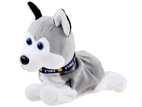 Interaktywny piesek Husky reaguje na dotyk Szczeka + różne sztuczki ZA1333 Interaktywny piesek Husky reaguje na dotyk Szczeka + różne sztuczki ZA1333