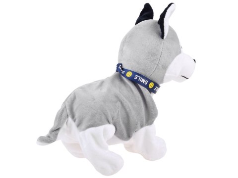 Interaktywny piesek Husky reaguje na dotyk Szczeka + różne sztuczki ZA1333 Interaktywny piesek Husky reaguje na dotyk Szczeka + różne sztuczki ZA1333