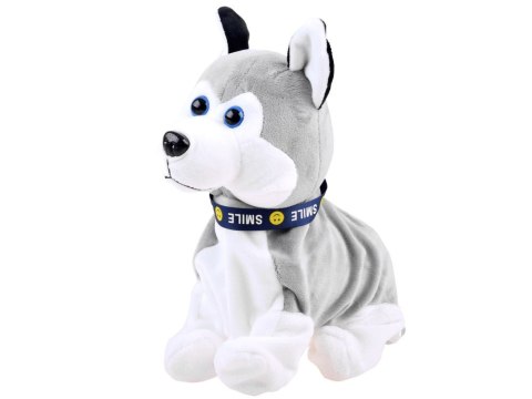 Interaktywny piesek Husky reaguje na dotyk Szczeka + różne sztuczki ZA1333 Interaktywny piesek Husky reaguje na dotyk Szczeka + różne sztuczki ZA1333