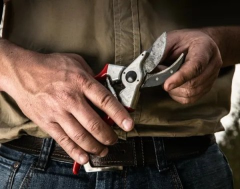 Sekatorius FELCO 2 | Felco