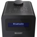 Sharp DR-430(BK) Radio cyfrowe, FM/DAB/DAB+, Bluetooth 5.0, Midnight Black Sharp | Midnight Black | DR-430(BK) | Radio cyfrowe |