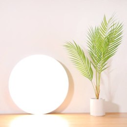 Xiaomi | Mi Smart Ceiling Light | BHR4118GL | Max. 3100 lm | 2700-6000 K | Led Light | 100-240 V