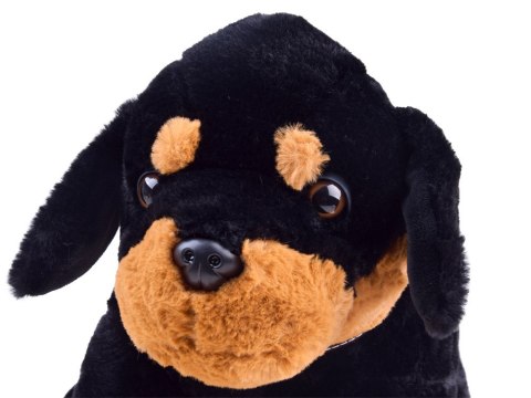 Piesek pluszowy szczeniak przytulanka 45cm ZA3032 Piesek pluszowy szczeniak przytulanka 45cm ZA3032