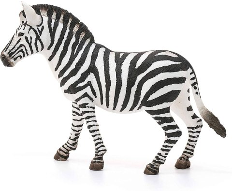 Schleich Samica Zebry Figurka Wild Life 14810S