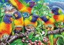 Ravensburger Puzzle 2D 1000 elementów: Kraina Lorikeet 16815