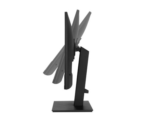 Asus VA27ACFSN | 27 " | IPS | 16:9 | 100 Hz | 5 ms | 2560 x 1440 pixels | 350 cd/m² | HDMI ports quantity 1