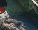 Outwell Cloud 4 Four Room Dome Tent for 4 Persons, Green | Outwell
