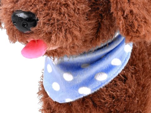 Interaktywny uroczy PIESEK Chodzi na smyczy Szczeka ZA2857 Interaktywny uroczy PIESEK Chodzi na smyczy Szczeka ZA2857
