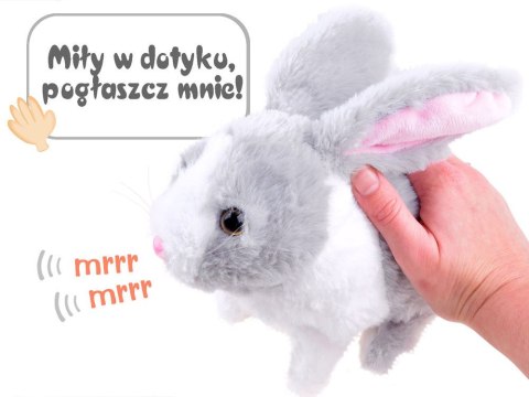 Interaktywny zwierzaczek chrupaczek Kicający Królik + marchewka ZA2685 Interaktywny zwierzaczek chrupaczek Kicający Królik + marchewka ZA2685