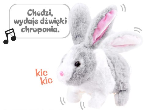Interaktywny zwierzaczek chrupaczek Kicający Królik + marchewka ZA2685 Interaktywny zwierzaczek chrupaczek Kicający Królik + marchewka ZA2685