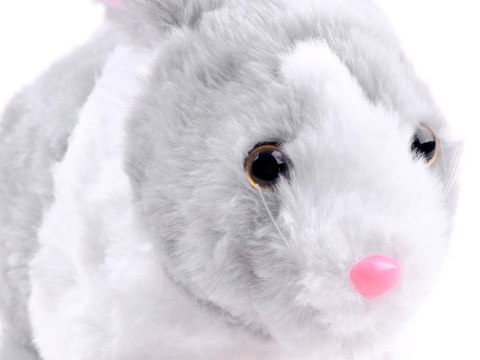 Interaktywny zwierzaczek chrupaczek Kicający Królik + marchewka ZA2685 Interaktywny zwierzaczek chrupaczek Kicający Królik + marchewka ZA2685