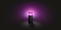 Philips Hue WCA Calla Outdoor Bollard, Black | Philips Hue