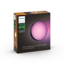Philips Hue WCA Daylo Outdoor Wall Lantern, Black | Philips Hue