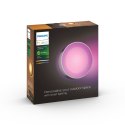 Philips Hue WCA Daylo Outdoor Wall Lantern, Inox | Philips Hue