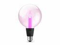 Philips Hue WCA Lightguide G125 E27 | Philips Hue