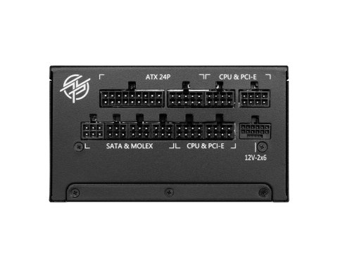 MSI PSU | MPG A1000G PCIE5 | 1000 W