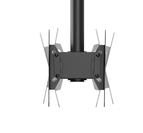 Neomounts CL35-340BL22 Monitor/TV mount ceiling 2 screens - 23-42" - max 45 kg/screen - VESA 100x100-200x200 - h 106-156 cm - bl