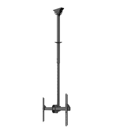 Neomounts CL35-440BL16L Monitor/TV mount ceiling 1 screen - 37-70" - max 50 kg - VESA 200x200-600x400 - h 106-156 cm - black