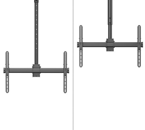 Neomounts CL35-440BL16XL Monitor/TV mount ceiling 1 screen - 37-70" - max 50 kg - VESA 200x200-600x400 - h 250-300 cm - black