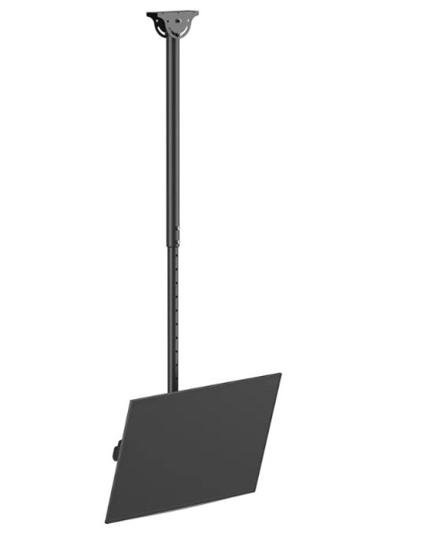 Neomounts CL35-440BL16L Monitor/TV mount ceiling 1 screen - 37-70" - max 50 kg - VESA 200x200-600x400 - h 106-156 cm - black