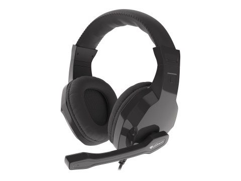GENESIS ARGON 100 Gaming Headset, On-Ear, Wired, Microphone, Black | Genesis | ARGON 100 | Wired | On-Ear