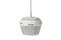 BIAMP