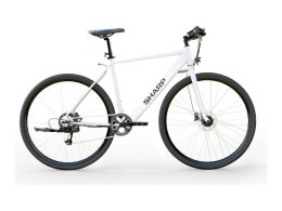 Sharp Hybrid E-Bike 21
