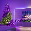 Twinkly Strings Smart LED 750 RGB (Multicolor), 60m, czarny przewód|Twinkly