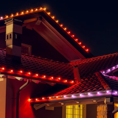 Żarówki Twinkly C9 Smart LED 40 RGB, 24,2 m, zielony przewód|Twinkly