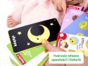 CzuCzu Zagadki z dziurką książeczka 3 latka ZA4039