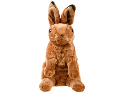 Maskotka Zając siedzący pluszowy królik 25cm 13463 Maskotka Zając siedzący pluszowy królik 25cm 13463