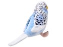 Maskotka niebieska Papuga falista 13cm 13729