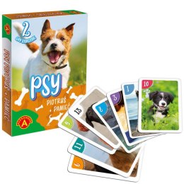 Karty gra karciana PIOTRUŚ + PAMIĘĆ - PSY GR0667