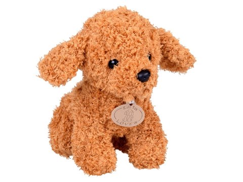 Drewniany Gabinet Klinika Weterynarz z Pluszowym Pieskiem Akcesoria ZA5939