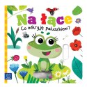 Na łące. Co odkryję paluszkiem? KS0943