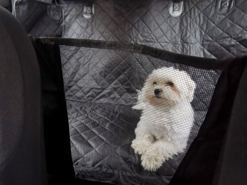 Mata samochodowa dla psa pasażera do auta samochodu z zamkiem pokrowiec na siedzenie wodoodporna